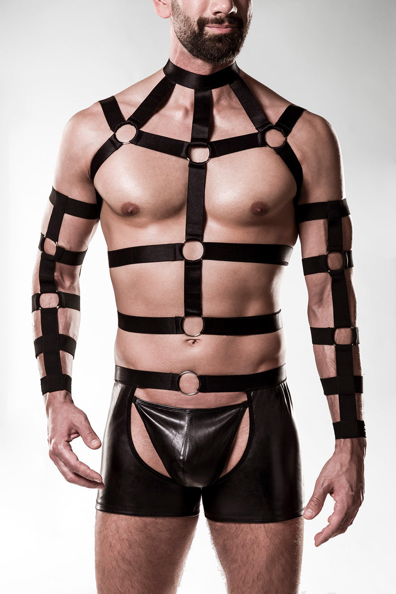 5pcs Harness-Set 20050 - 2XL/3XL-0