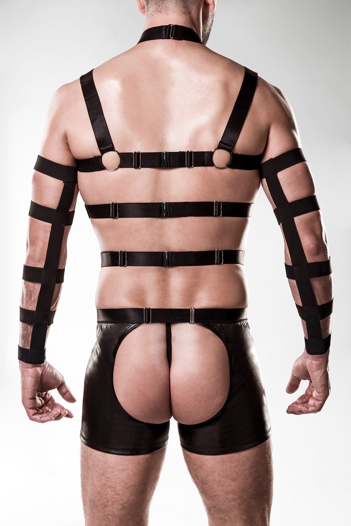 5pcs Harness-Set 20050 - 2XL/3XL-1