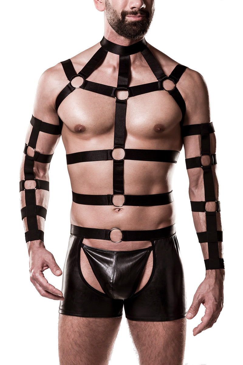 5pcs Harness-Set 20050 - 2XL/3XL-3