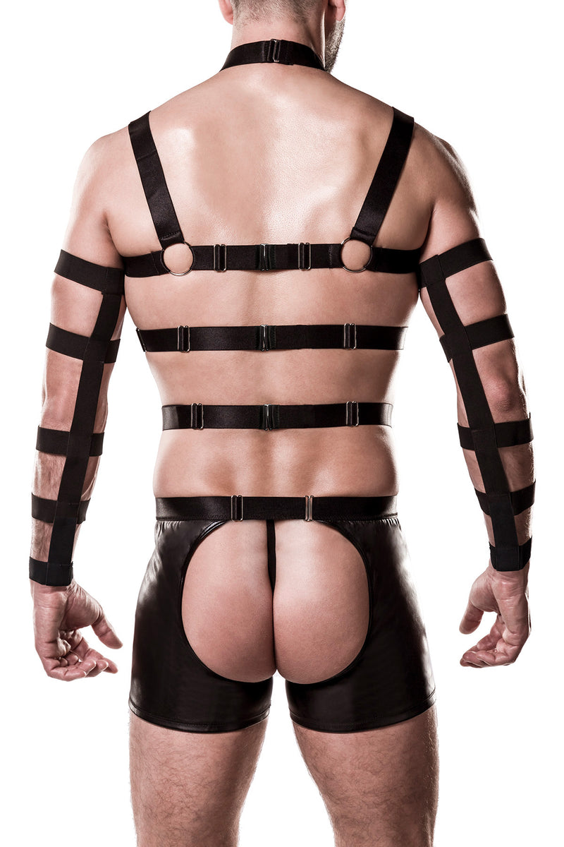 5pcs Harness-Set 20050 - 2XL/3XL-4